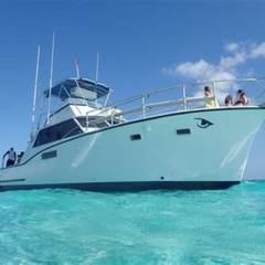 Review Special Price Grand Cayman Halfday Private Charter