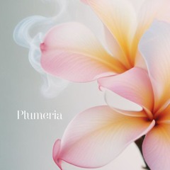 PLUMERIA