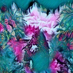 Acacia Komodo - "M*scaline"
