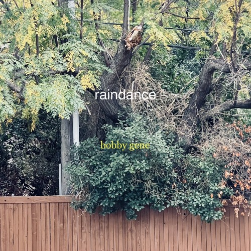 raindance