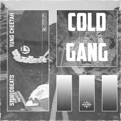 COLD GANG w/ Yung Cheetah