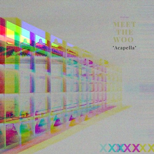 AF1 x Pop Smoke Acapella (prod. by 808roo)