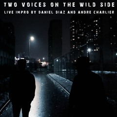 Two Voices On The Wild Side (naviarhaiku347)