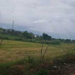 Đi về phía nắng lên remix