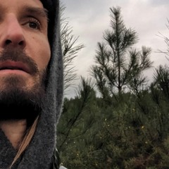 C'est What #22 - Fred Gié (23.02.24)