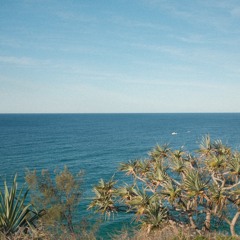 Bones to the Vultures (Demo)