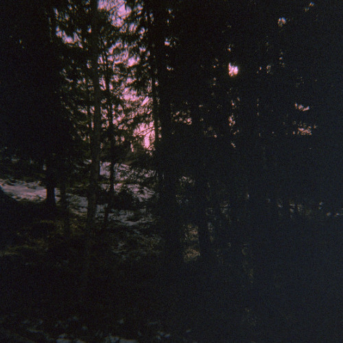 HOWLER - FARAN ÄR INTE ÖVER