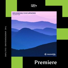 PREMIERE: Tonaco - Holosteric [meanwhile]