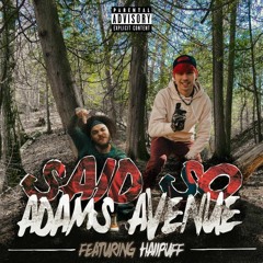 Said So (feat. HaiiPuff)