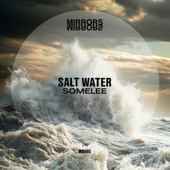 Premiere: Somelee - Salt Water [Mirrors]
