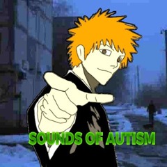 SOUNDS OF AUTISM