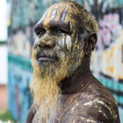 Best Tiwi By Design Day Tour Tours Review