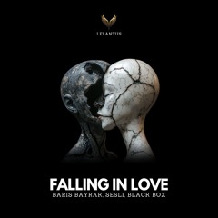 Baris Bayrak Sesli, Black Box - Falling In Love