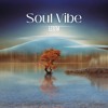 Soul Vibe