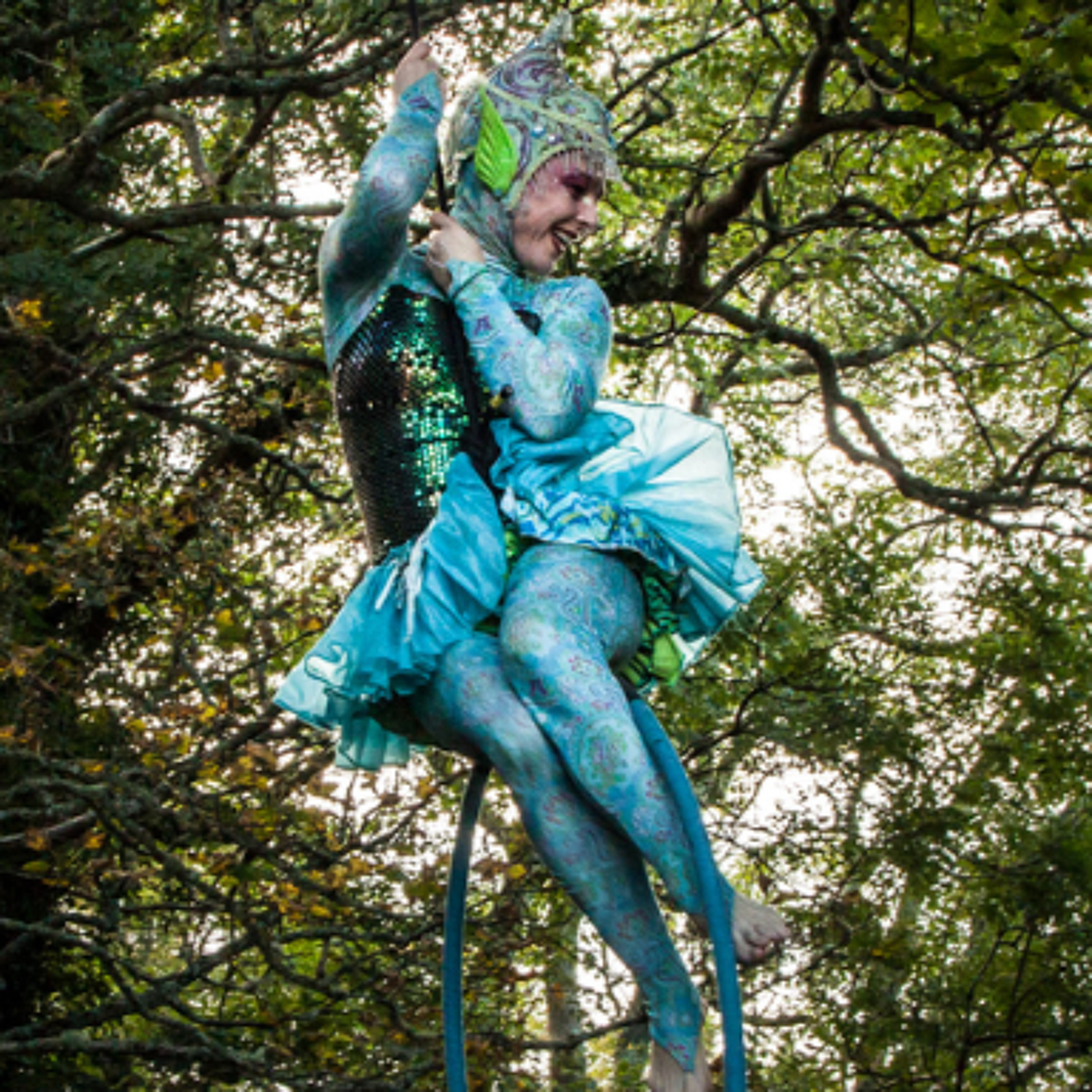 Clare-Based Aerial Dance Company Launches Strategic Plan