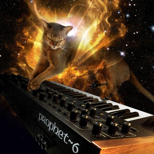 我願意平凡的陪在你身旁 dj 王七七