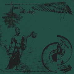 PREMIERE: Deaf Toucan - Siren Seeker