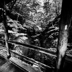 𝐢𝐥𝐥𝐮𝐬𝐢𝐨𝐧