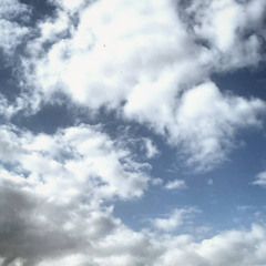 (vii) подними телефон