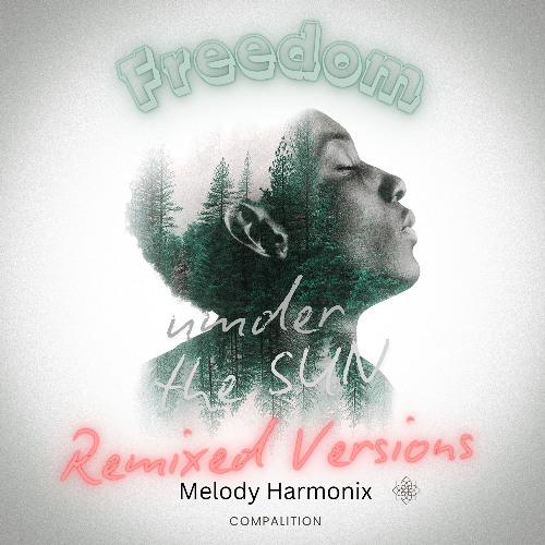 Freedom (Boy-Remix 1)