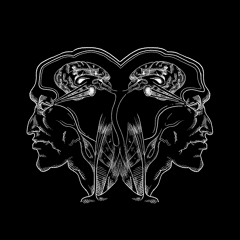 [NFRBD12] About:kaos - 'Vitruvian' LP