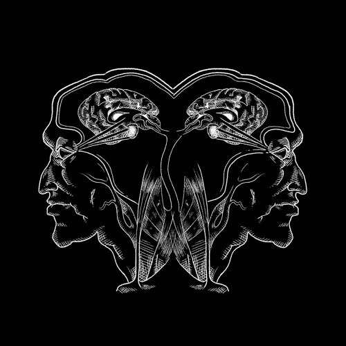 [NFRBD12] About:kaos - 'Vitruvian' LP