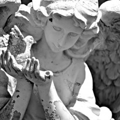 goku @xtokely @pepsicejas prod @prodmdm (unofficial)