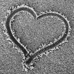 The Great - Toda Hora (Prod.by Kara Kara Entertainment)