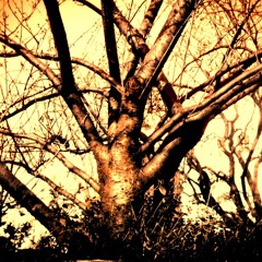 Dave Russell: Clinical Psychiatry