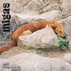 casualsi at migas 20.06.25