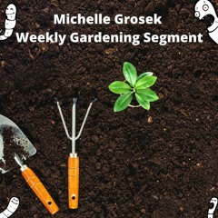 Michelle Grosek-Northern Hills Master Gardener (9-21-22)