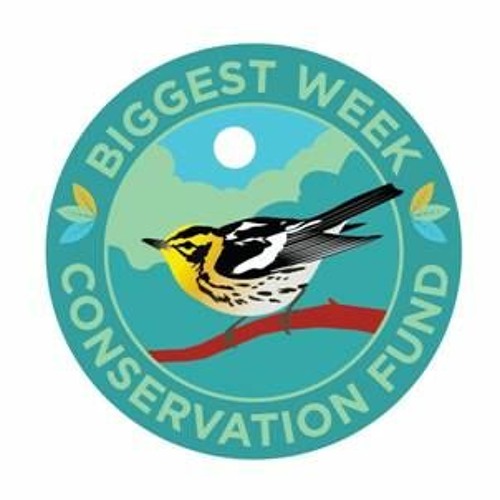 Stream Biggest Week in American Birding with Kim Kaufman by BAS