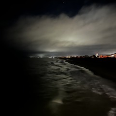 FREEBIRD [prod. @chaseflorezz]