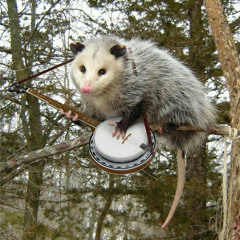 for the love of god please listen to folk punk