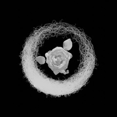 SL55/ROSE FREESTYLE