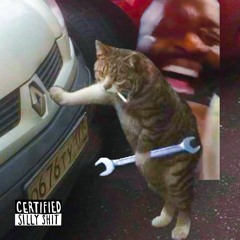 Saturated Fat Is Becoming One Of My Favourite Foods