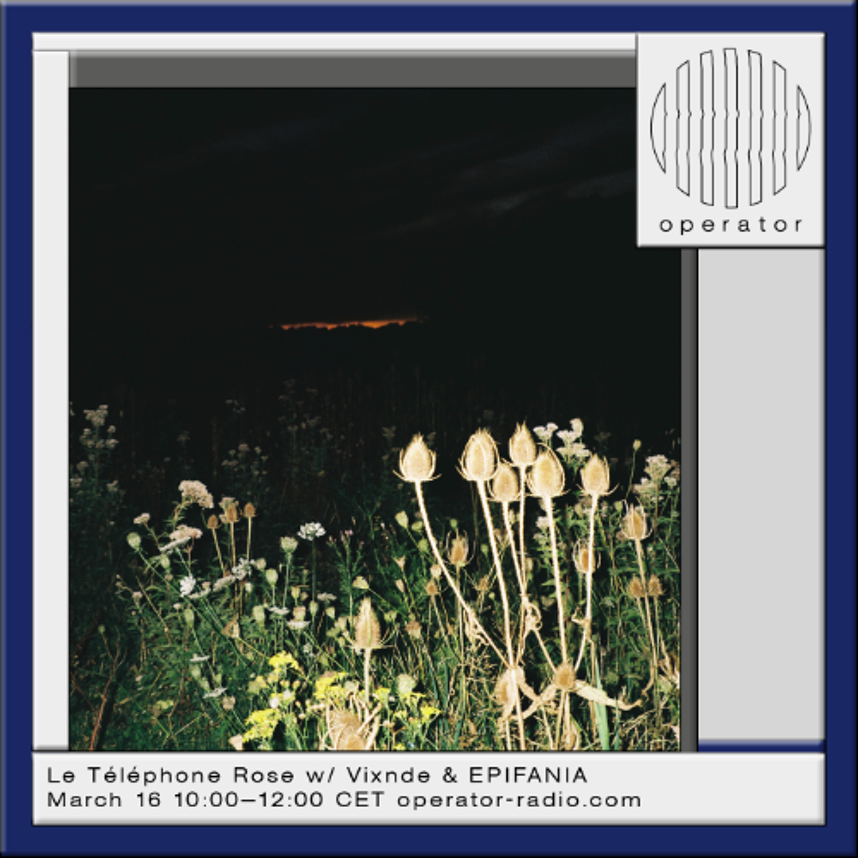 Le Téléphone Rose w/ Vixnde & EPIFANIA - 16th March 2026 episode artwork