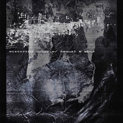 distorted diary w/ faqual & tbx4