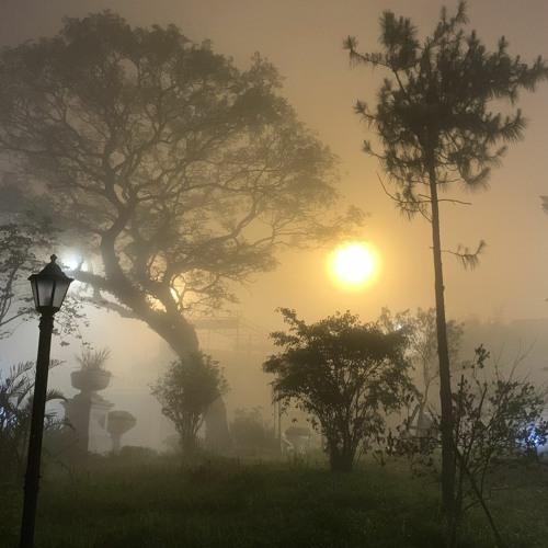 Hỏi thăm