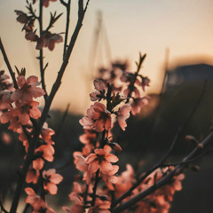 Dabin, Seven Lions - Deepest Water x Don't Leave x Starbright (Mashup)