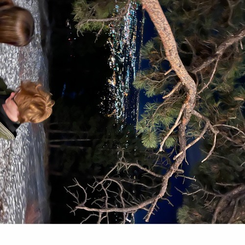 aimlessly floating in the forest of knowledge