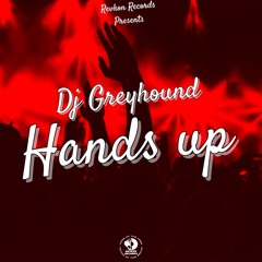 Hands Up (original mix)