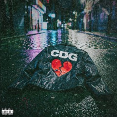 cdg jacket (p. HEYRIC)