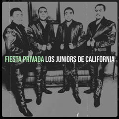 Los Consejos (En vivo)