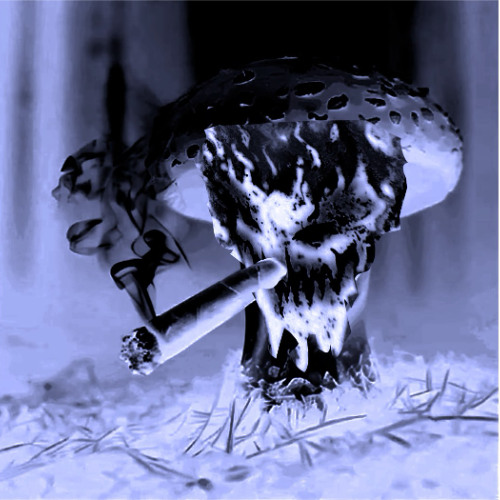 CYSLOID