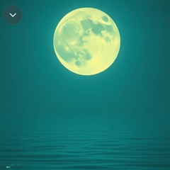 butterfly-lights.mp3