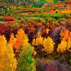 Base Jase Boom Bap Autumn Mix