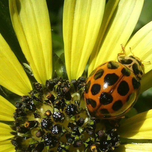 What You Don't Want To Do Is What You Probably Should