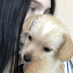 танцую много, слушаю мало