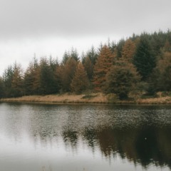 Fernworthy